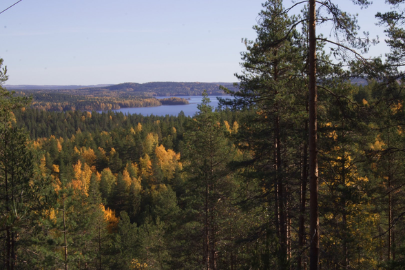 Landscape of forest-covered hills with a lake in the background.