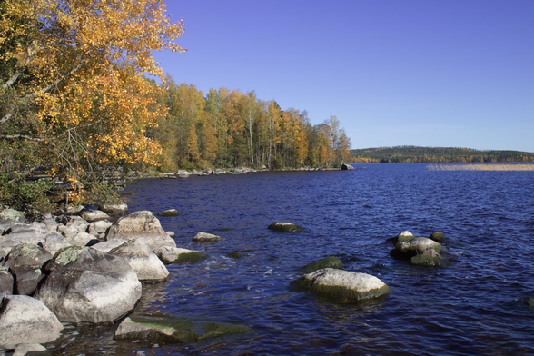 Lakeview with trees to the right.
