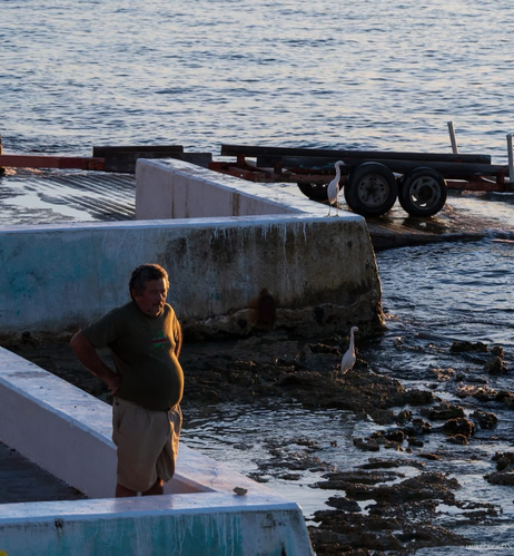 A man and two egrets at a sea wall at sunset. 