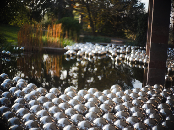 A photo of an art instalation by Yayoi Kusma