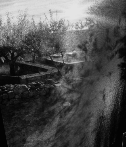 A black-and-white photograph showing a sunlit outdoor scene with trees, stone walls, and a textured surface—possibly a window or curtain—creating a layered, reflective effect.