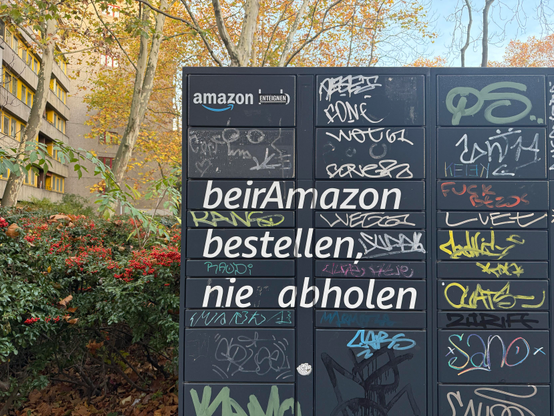 ein blaugrauer mit graffiti übersäter amazon-locker steht vor einem plattenbau. die schrift wurde verändert und liest in großen weißen lettern: „beirAmazon bestellen, nie abholen“. im hintergrund stehen bäume mit herbstlaub und sträucher mit roten blüten.