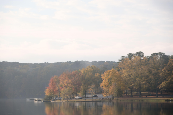 A lakeview from a far from a road. Colorful leaves in the morning sun, water at the bottom, and woods in the far back.
