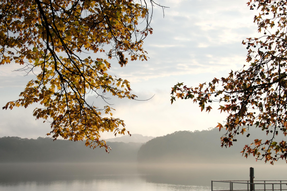 A foggy lakeview with branches of trees on both side with yellow leaves. The lake water and woods on the other shore at the bottom.