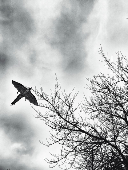 Ein Flugdrache für Kinder in einem Baum hängend.