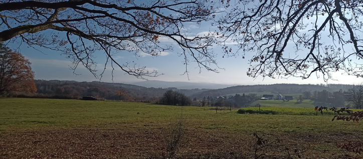 Landschaftsbild durch rein ragende Äste aufgenommen im Vordergrund eine große grüne Wiese, links ein bunter großer Laubbaum. Im Hintergrund eine dunstige Hügelkette, der Himmel von strahlend blau übergehend zu Schleierwolken 