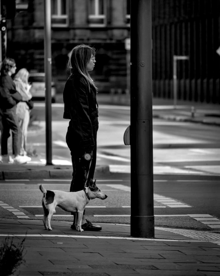 Szene an einer Straßenkreuzung irgendwo in Hamburg. Eine junge, schlanke Frau in dunkler Kleidung steht mit ihrem kleinen Hund an einer Fußgängerampel und wartet darauf, die Straße überqueren zu können. Haltung von Frau und Hund zeugt von Körperspannung und Aufmerksamkeit. 
.
Scene at a crossroads somewhere in Hamburg. A young, slim woman in dark clothing stands with her small dog at a pedestrian crossing, waiting to cross the road. The posture of the woman and her dog shows physical tension and alertness. 
.
