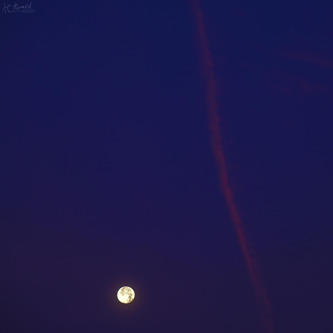 Square image of the purple morning sky. The moon can be seen at the bottom, and a pale pink contrail runs from top to bottom on the right-hand side of the image.