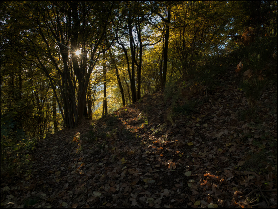 CAT
En algun racó secret
més enllà de qualsevol somni
hi ha una beutat desassossegada
Del fons dels ulls em creixen
preguntes sense respostes.
Rere el arbres la claror,
dins la mirada melangia.

OC
Dins qualque canton secret
al delà de tot sòmi
i a una beutat inquieta
Del prigond de mos uèlhs
créisser de questions sens responsas.
Darrièr los arbres la lutz,
dins l'agach malenconia.