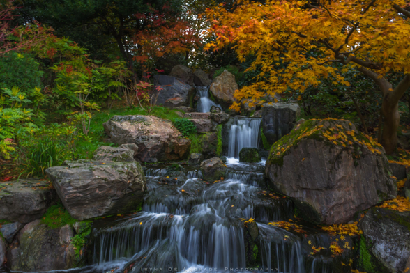 Autumnal  Waterfall Tranquility