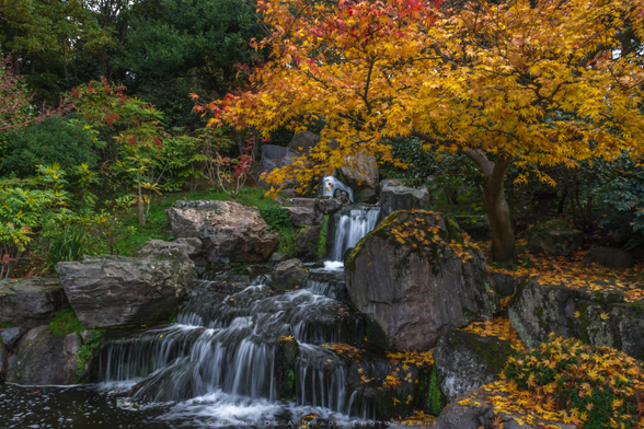 A Peaceful Autumn Scene