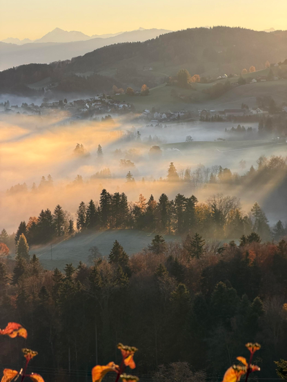 Eine ruhige Landschaft mit sanften Hügeln und einem in Nebel gehüllten Tal, das von einem warmen goldenen Licht beleuchtet wird. Dichte Wälder sämen die Hügel, mit Herbstlaub sichtbar. In der Ferne sind schneebedeckte Berge gegen den Himmel sichtbar.