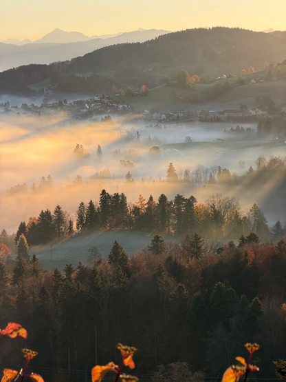 Eine ruhige Landschaft mit sanften Hügeln und einem in Nebel gehüllten Tal, das von einem warmen goldenen Licht beleuchtet wird. Dichte Wälder sämen die Hügel, mit Herbstlaub sichtbar. In der Ferne sind schneebedeckte Berge gegen den Himmel sichtbar.