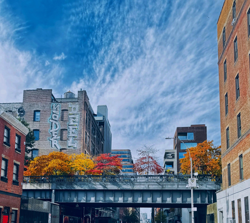 A color photo taken in the middle of a street towards the high line, an old elevated train track that has been turned into a walking path/park.  The middle of the photo shows the train track with the tops of five or six trees all in bloom with fall colors orange, yellow and red. On the right side is a tall brick building. On the left side is a short brick building and behind that a slightly taller brick building with two pieces of graffiti written vertically down the side. Above that it's a bright blue sky with lots of sweeping clouds