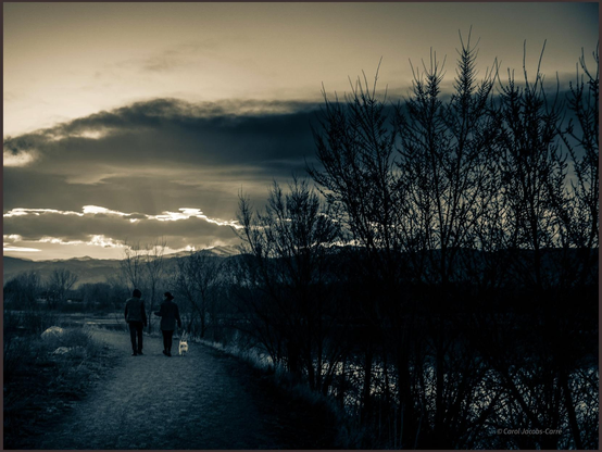 A cyan/creamtone split tone  photograph: a walking couple with a small dog are seen from behind, and they are talking. They amble along a gravel trail bordered on the right side with winter-bare trees silhouetted against the evening sky.  The trail leads towards a haze of bare trees with the glint of ponds beyond. The sky is full of storm clouds backlit by the setting sun. In the distance you can make out mountains with the season's first snows reflecting some sunlight. 

 Come walk with me, come talk with me
Through the evening gloam
And though the day will fade away
Our friendship will have grown