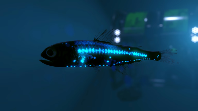 A lanternfish, illuminated by a remotely operated underwater vehicle in the background