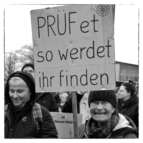 Demonstranten wünschen sich eine Prüfung der Verfassungsfeindlichkeit von AfD und Co.