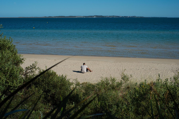 Auto-generated description: A person sits alone on a sandy beach facing the ocean, with greenery in the foreground and distant land across the water.