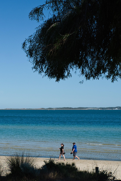 Auto-generated description: Two people are walking along a beach with a calm blue sea and a large tree providing shade.
