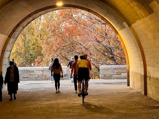 An archway in Riverside Park, with walkers and bicyclist in the middle and a view at the end of the autumn foliage in the park. (Photo by Fenichel)