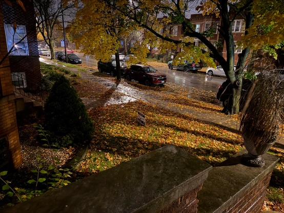 A nighttime street scene in a residential neighborhood, illuminated by streetlights. Wet pavement and fallen autumn leaves cover the ground after recent rain. Several cars are parked along the street and curbside, with leafy trees overhanging the sidewalk. The photo is taken from a slightly elevated porch or entryway with brick and stone details, capturing front steps, shrubs, and a planter in the foreground. A small yard sign is visible among the leaves, and apartment buildings line both sides of the street.