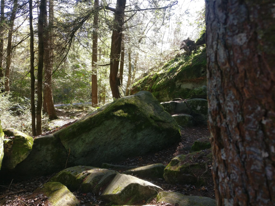 A photograph of a rock formation in the forest