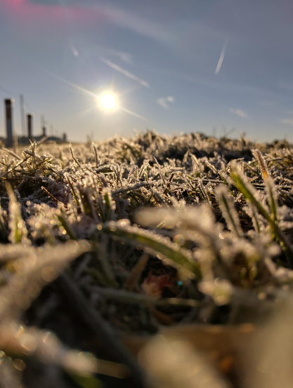 a low standing sun over some short blades of grass covered in early frost, the sky is blue with puffy clouds, some out of focus lamp posts are visible on the left hand side