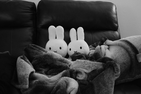 Two Miffys snuggled under a blanket on a couch. 