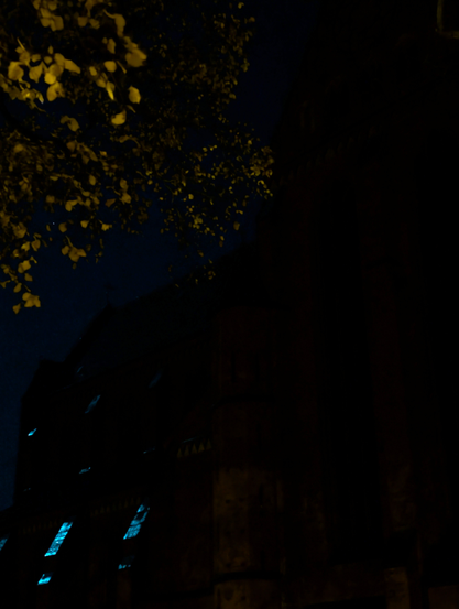 Das Bild ist sehr dunkel. Links oben leuchten ein paar Blätter gelblich-braun. Vor einem dunkelblauen Himmel erahnt man die Silhouette einer großen gotischen Backsteinkirche. Die Kupferdächer einiges Pfeiler leuchten im Mondlicht bläulich.
