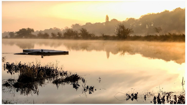 A tranquil scene of a misty river at dawn, featuring a small dock floating on the water and silhouetted trees in the background. The sky is illuminated with soft golden hues reflecting on the calm surface.