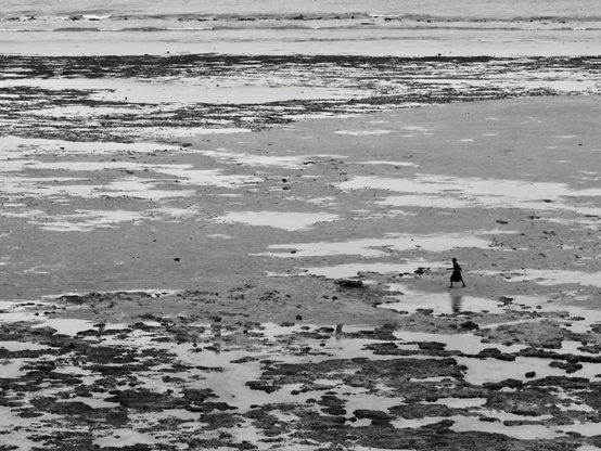 La petite silhouette d’une jeune fille marchant sur l’estran