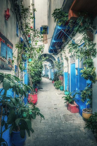 A narrow, high-walled alleyway, likely in a North African or Mediterranean city, is lined with lush green potted plants on both sides. The walls are painted white and feature vibrant blue accents on the window and door frames, contrasting with the red and yellow pots. The stone-paved path recedes into a shaded archway in the distance, creating a sense of depth and mystery. The scene is brightly lit but with shadows highlighting the texture and colour.
