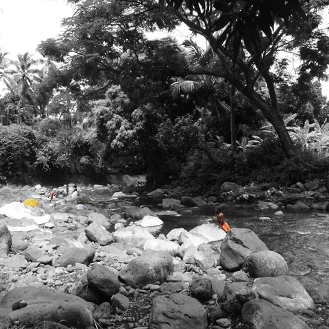 Femmes et enfants au bord de la rivière, sous les branches de grands manguiers, faisant leur lessive.