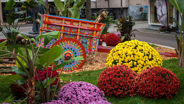Ein extrem bunter Deichselwagen aus Holz der stark bemalt ist mit verschiedenen Farben und Muster. Darum stehen kleine Palmen und Chrysanthemen.