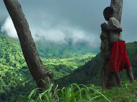 Un enfant, short rouge et t-shirt gris, s’appuie sur un tronc d’arbre et observe le versant opposé de la montagne, pris dans les nuages.