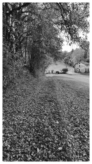 Un chemin forestier de transforme en chemin de campagne qui se changera en petite route communale puis en route départementale. 
On voit un itinéraire de campagne qui serpente et monte. Une maison ancienne qui a une histoire, toujours habitée. Calme absolu. Photo en nuance de gris.