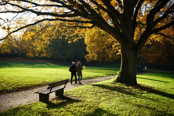 Ein Pärchen im mittleren Alter spaziert durch einen herbstlichen Park