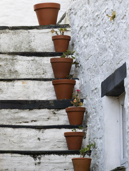 A set of white-painted steps beside a rural building.  There is a terracotta plant pot on ach step.