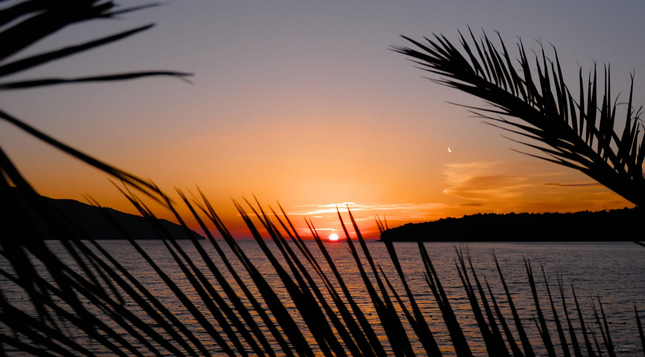 Das Foto zeigt einen Sonnenuntergang am Meer. Die Sonne steht tief am Horizont, das Wasser schimmert im warmen Licht, und der Himmel ist in Orangetönen gefärbt. Im Vordergrund sind silhouettenhaft die Blätter einer Palme zu sehen, die dem Bild einen tropischen Charakter verleihen. Im Hintergrund erkennt man dunkle Umrisse von Landmassen.