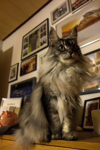 frieda listening to deep house