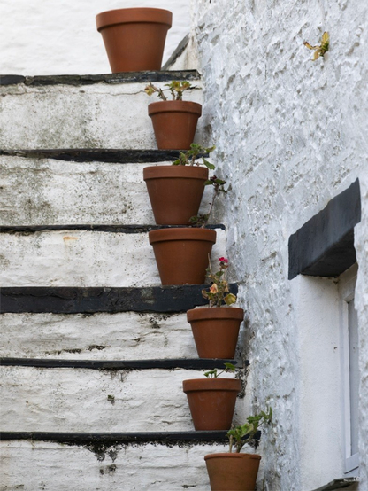 A set of white-painted steps beside a rural building.  There is a terracotta plant pot on ach step.