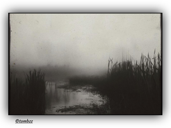 Black and white analog photograph shows a mist-covered landscape on the edge of a lake. A narrow strip of water cuts through the frame, reflecting blurred outlines of plants and sky. On both sides stand tall, wild grasses or reeds, shaping a sense of silence and isolation. The entire scene is enveloped in dense fog that swallows the background and makes the silhouettes of distant trees appear only as shadows, almost imagined. The mood of the image is melancholic and mysterious, as if time had stopped in this damp, forgotten corner.