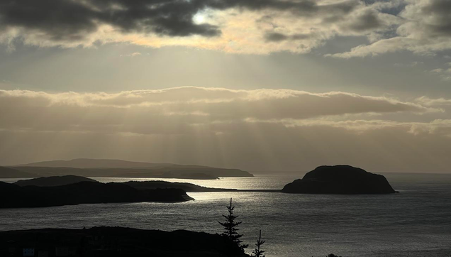 A cloudy coastal sunrise with rays of sunlight illuminating water along an irregular coastline with isthmus, islands, and peninsulas. The dominant colours are greys with tinges of blue and yellow. The tops of two backlit evergreen trees appear in the bottom foreground, while rays of sunlight stream from the top center of the image. [Port Rexton (NL,  Canada) October 2025]