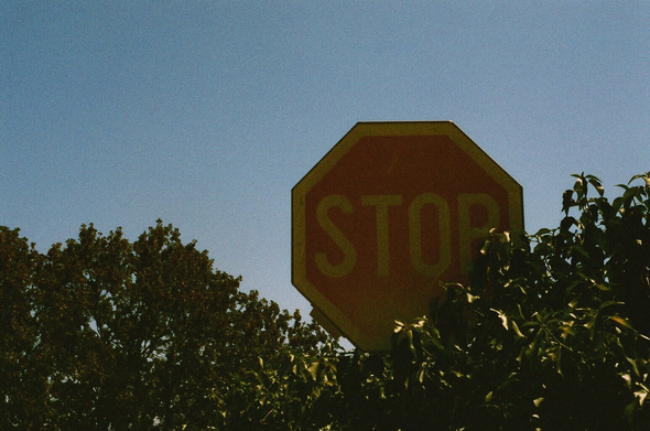 A photo of a stop sign surrounded by foliage