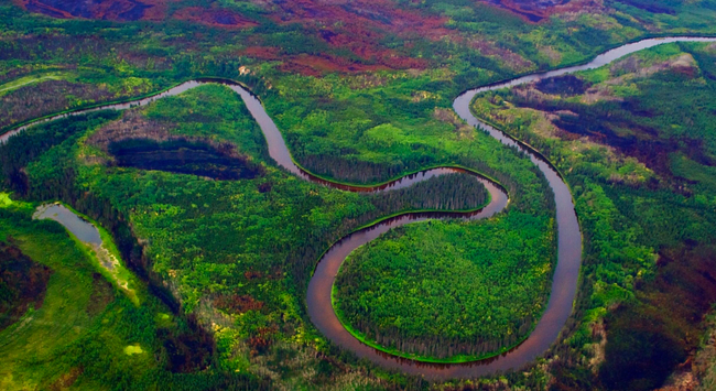 A helicopter shot of a river meandering through a recovering, burned landscape of muskeg forest stands.