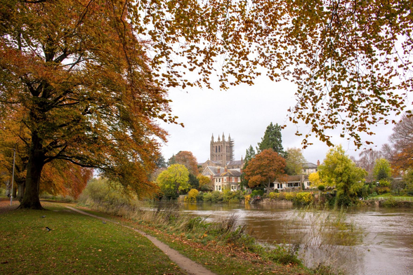 A view of the cathedral tower in the background with the riverbank and large trees and bronze leaves framing the view. The river flows along the centre.