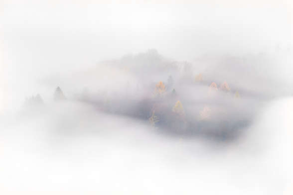 Ein paar herbstliche Bäume im oder um den Nebel herum von einem andere Hügel aus fotografiert. Großteils besteht das Foto aus mehr oder weniger hellem Nebel. Ein paar Bäume sind erkennbar. Durch die recht lange Belichtungszeit wirkt der Nebel weich.