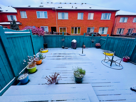 A snowy backyard deck-space surrounded by a turquoise wooden fence with yellow, green, blue, and orange planters and tires, and bright, red brick houses and partially frosted windows in the background.