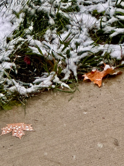 Snow and water droplets on a lawn and some Fall leaves.
