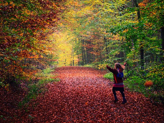 A child is joyfully playing on a leaf-covered path in a colorful autumn forest. Surrounding trees display vibrant orange, yellow, and green foliage.